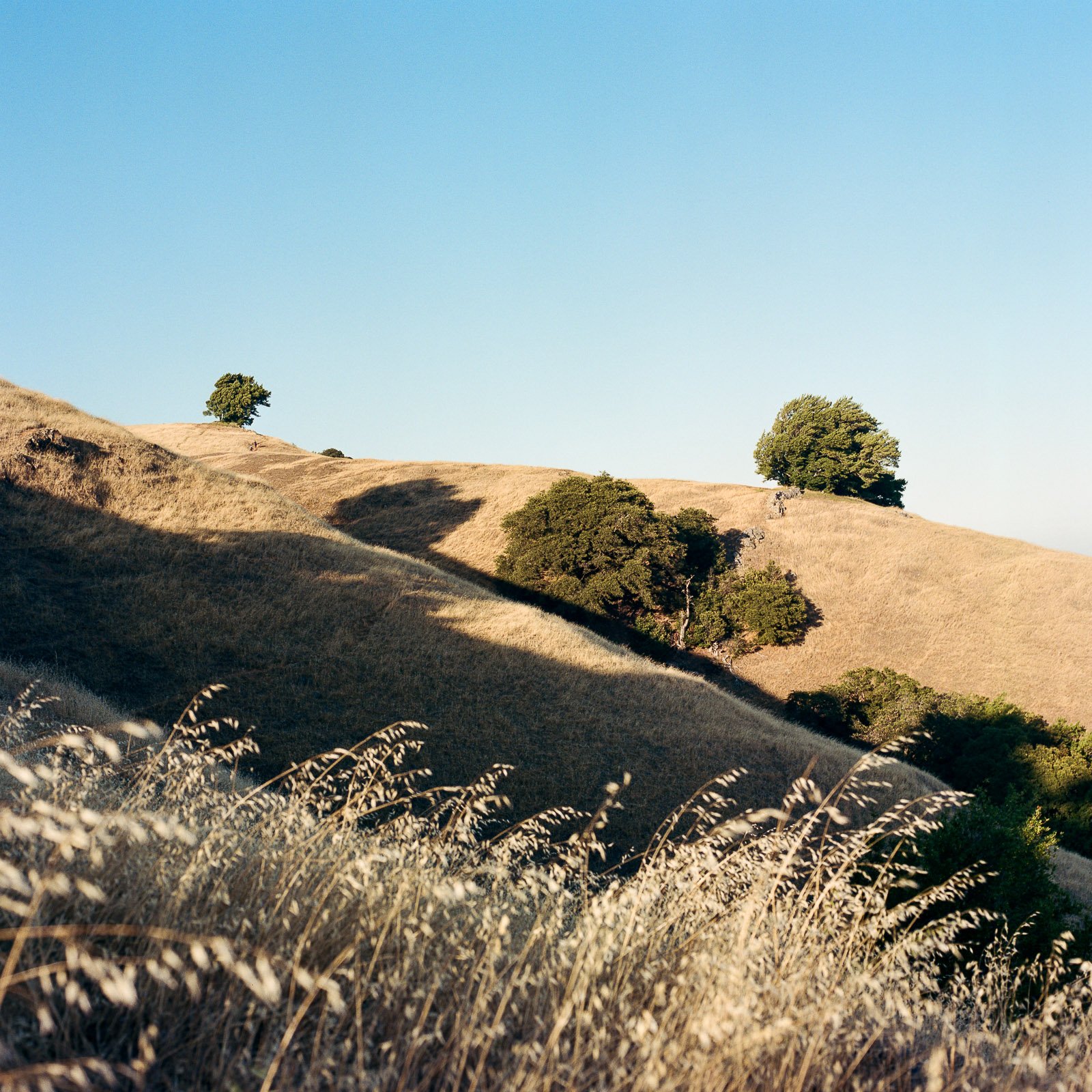 Mount Tamalpais, San Francisco