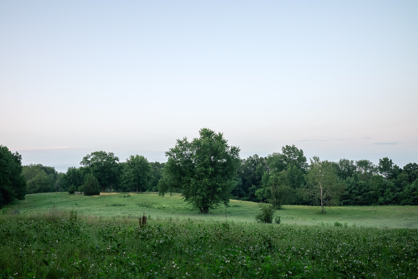 prairie in Massachusetts